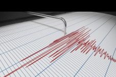 Gempa di Lampung terjadi sekitar pukul 08.18 WIB. Sementara itu gempa berpusat pada kedalaman 13 kilometer, (21/7/2024)