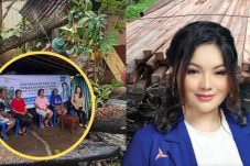 Hillary Brigitta Lasut Salurkan Bantuan Kayu untuk Korban Pohon Tumbang di Kairagi 1